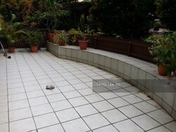 Northvale (D23), Apartment #238964871